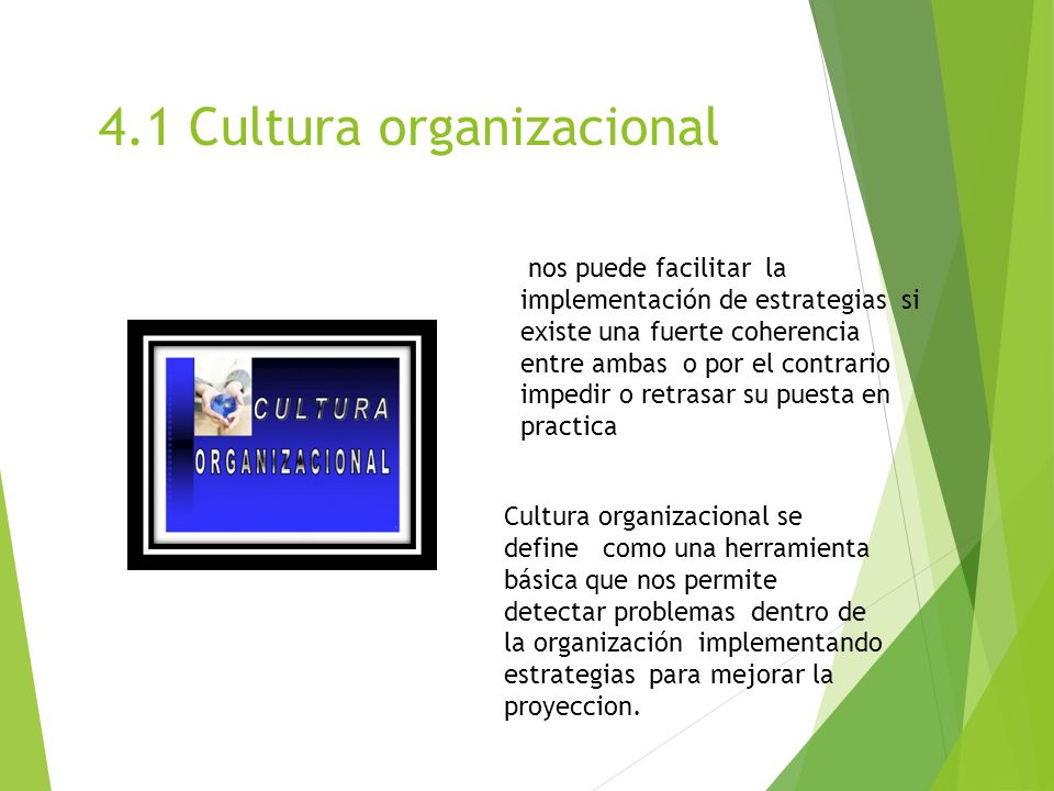 4.1 Cultura organizacional