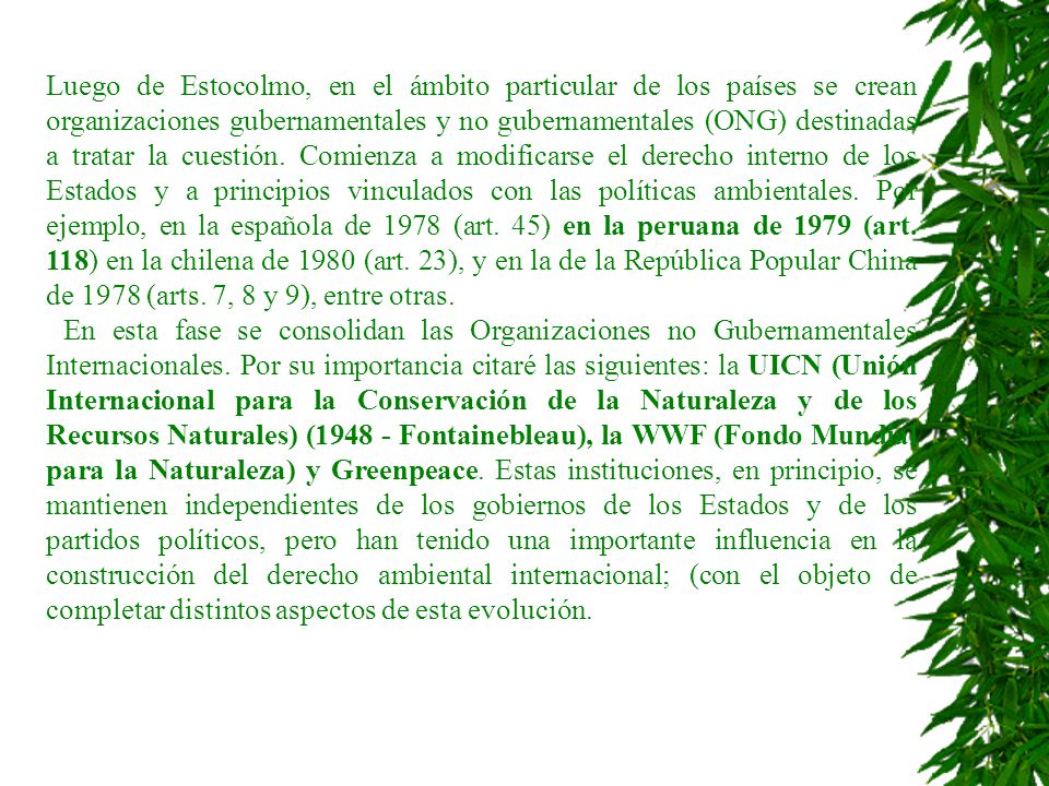 Luego de Estocolmo, en el ámbito particular de los países se crean organizaciones gubernamentales y no gubernamentales (ONG) destinadas a tratar la cuestión. Comienza a modificarse el derecho interno de los Estados y a principios vinculados con las políticas ambientales. Por ejemplo, en la española de 1978 (art. 45) en la peruana de 1979 (art. 118) en la chilena de 1980 (art. 23), y en la de la República Popular China de 1978 (arts. 7, 8 y 9), entre otras.