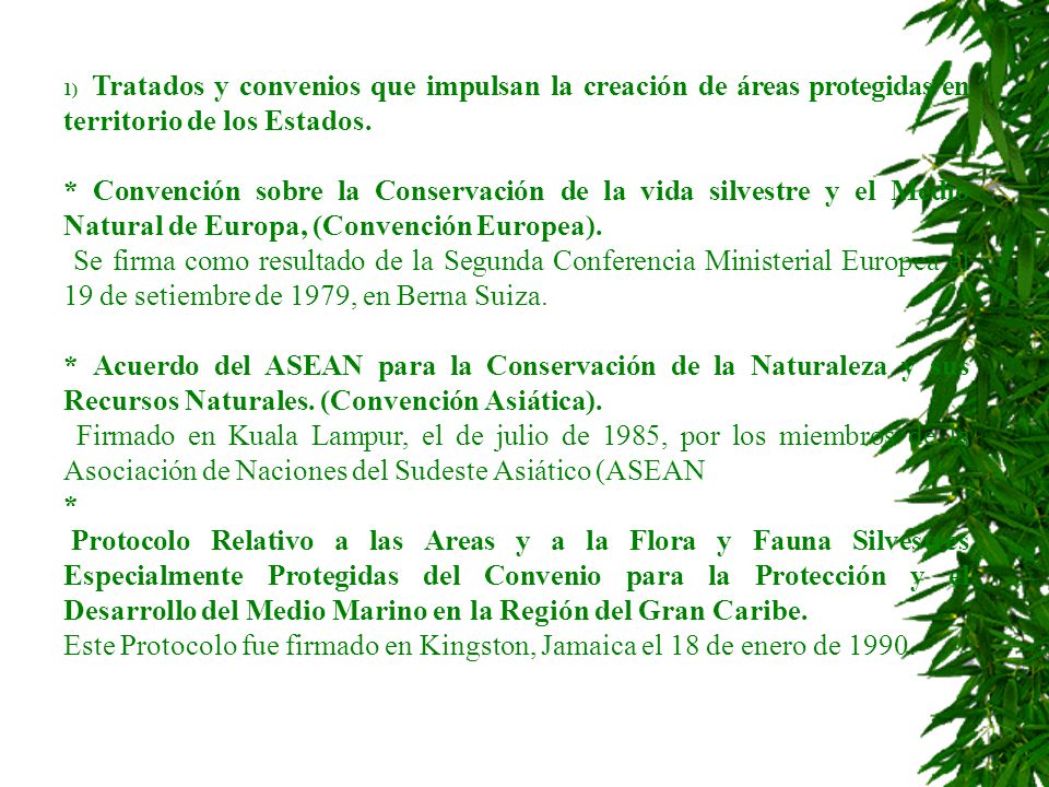 1) Tratados y convenios que impulsan la creación de áreas protegidas en territorio de los Estados.