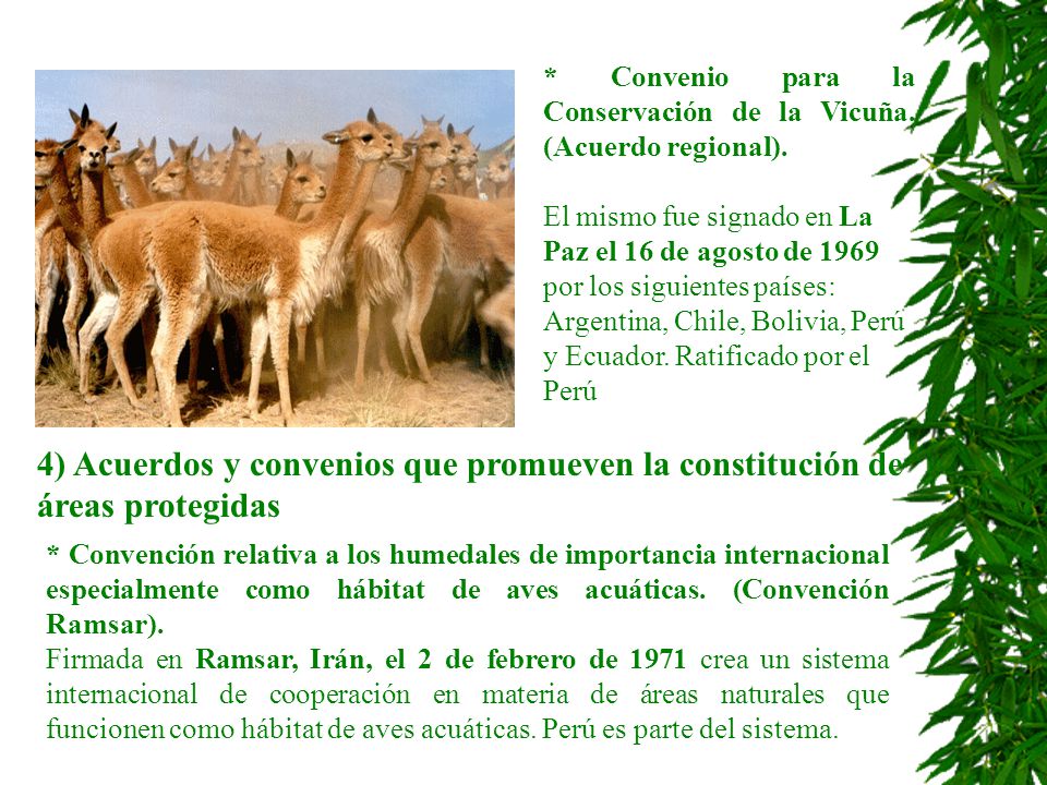 * Convenio para la Conservación de la Vicuña. (Acuerdo regional).