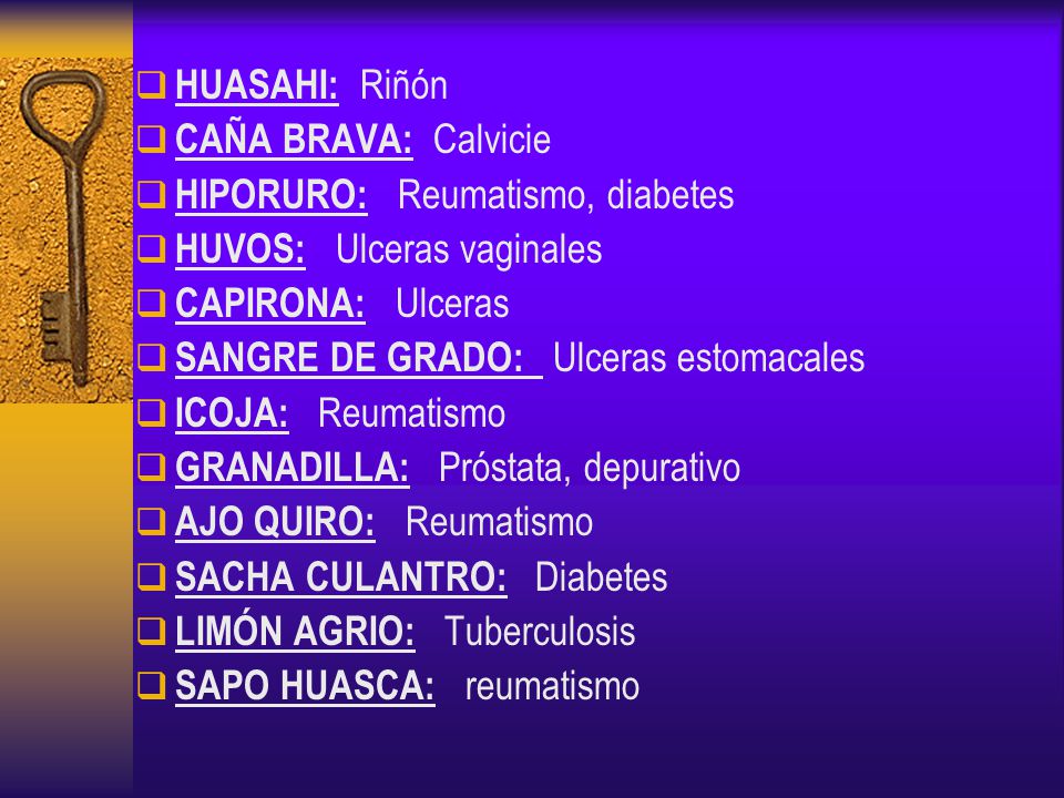 HUASAHI: Riñón CAÑA BRAVA: Calvicie. HIPORURO: Reumatismo, diabetes. HUVOS: Ulceras vaginales.
