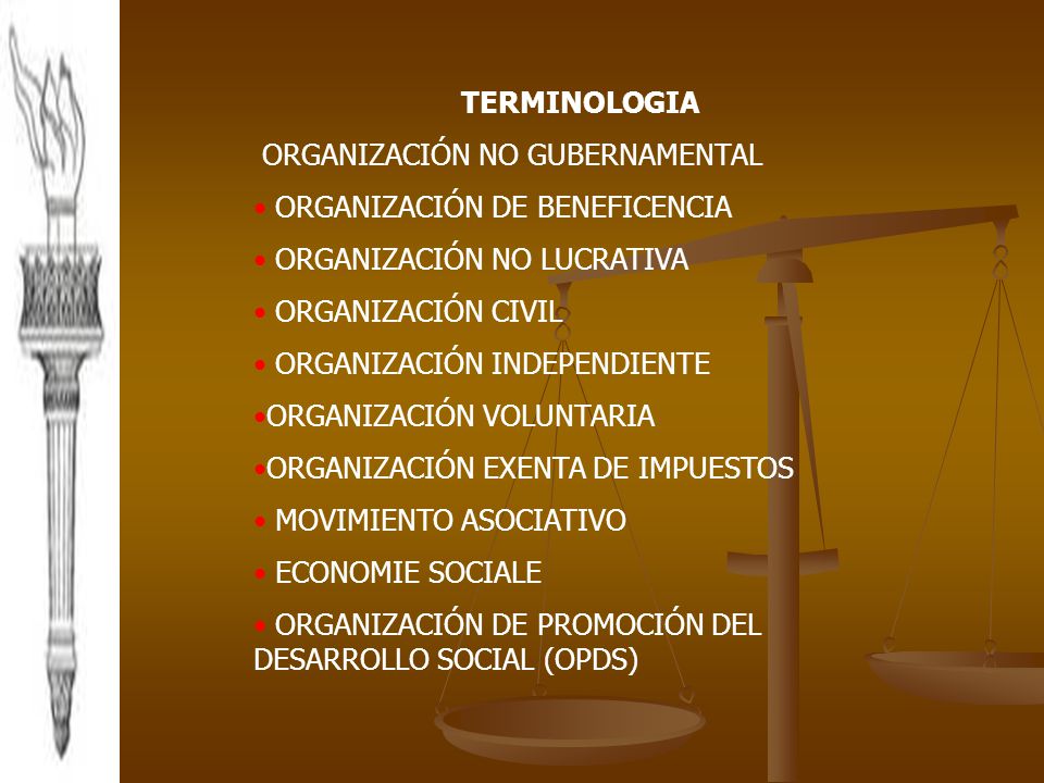TERMINOLOGIA ORGANIZACIÓN NO GUBERNAMENTAL. ORGANIZACIÓN DE BENEFICENCIA. ORGANIZACIÓN NO LUCRATIVA.