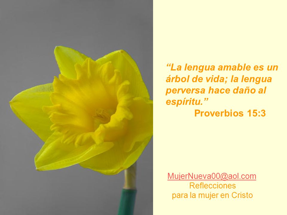 árbol de vida; la lengua perversa hace daño al espíritu.