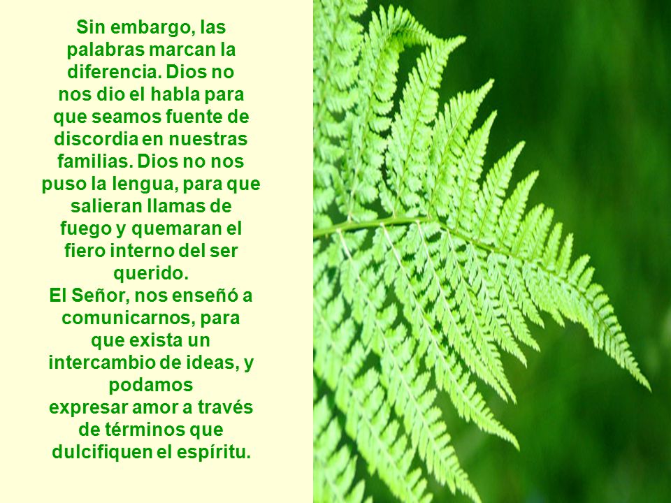 Sin embargo, las palabras marcan la diferencia. Dios no