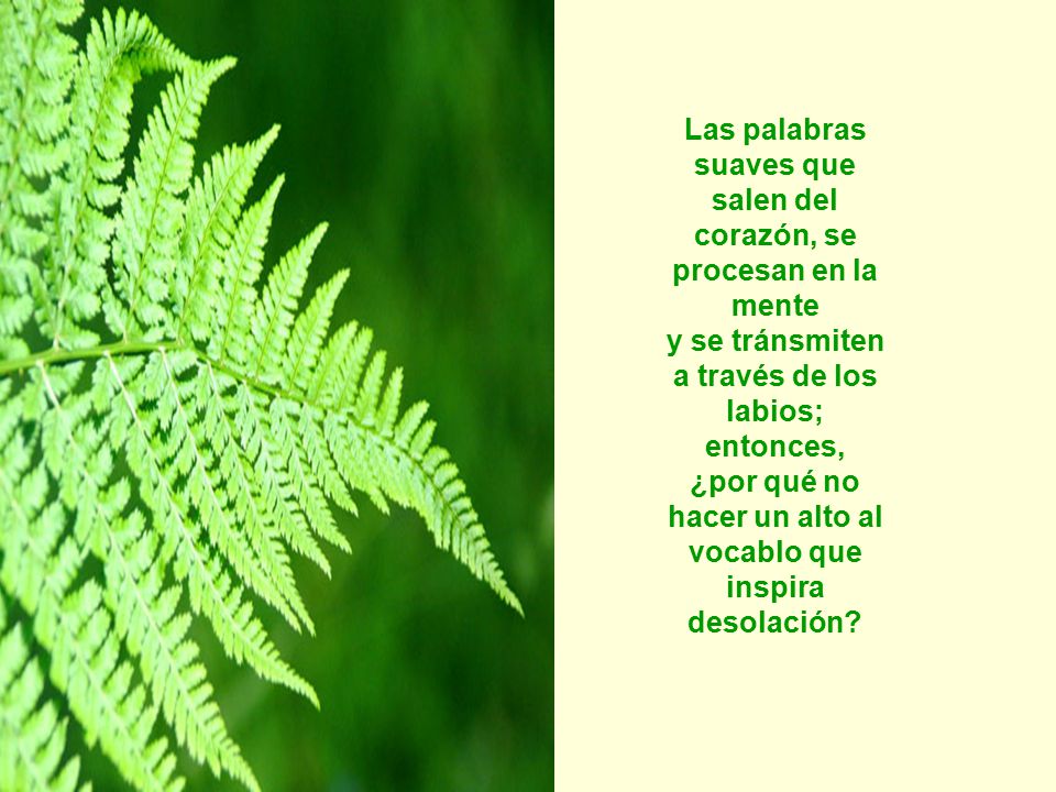 Las palabras suaves que salen del corazón, se procesan en la mente