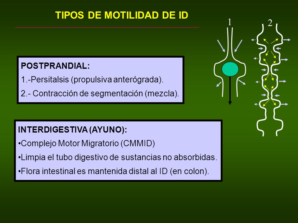 TIPOS DE MOTILIDAD DE ID 1 2