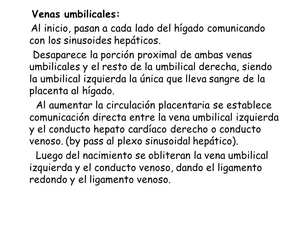 Venas umbilicales: Al inicio, pasan a cada lado del hígado comunicando con los sinusoides hepáticos.