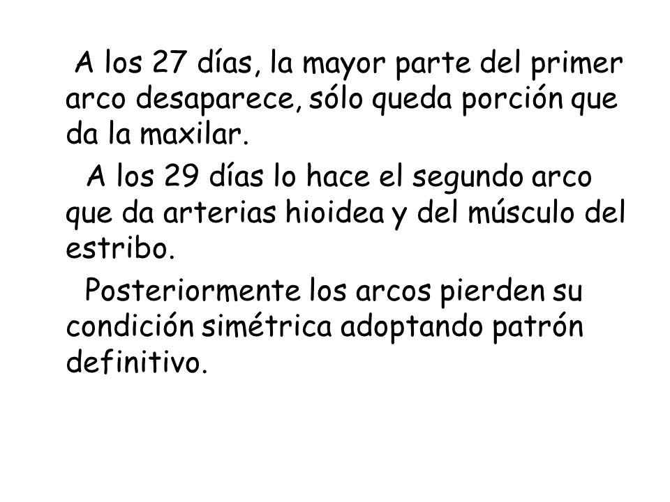 A los 27 días, la mayor parte del primer arco desaparece, sólo queda porción que da la maxilar.