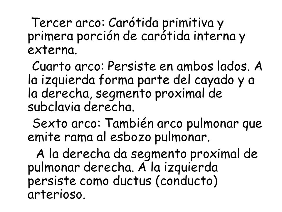 Tercer arco: Carótida primitiva y primera porción de carótida interna y externa.