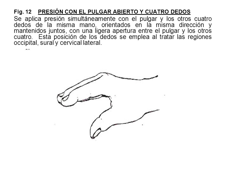Fig. 12 PRESIÓN CON EL PULGAR ABIERTO Y CUATRO DEDOS