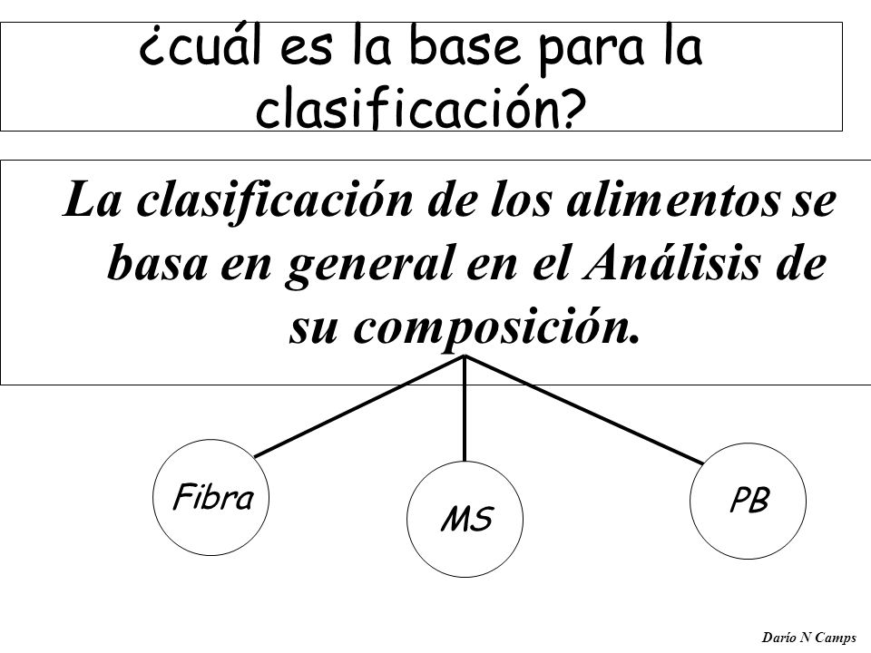 ¿cuál es la base para la clasificación