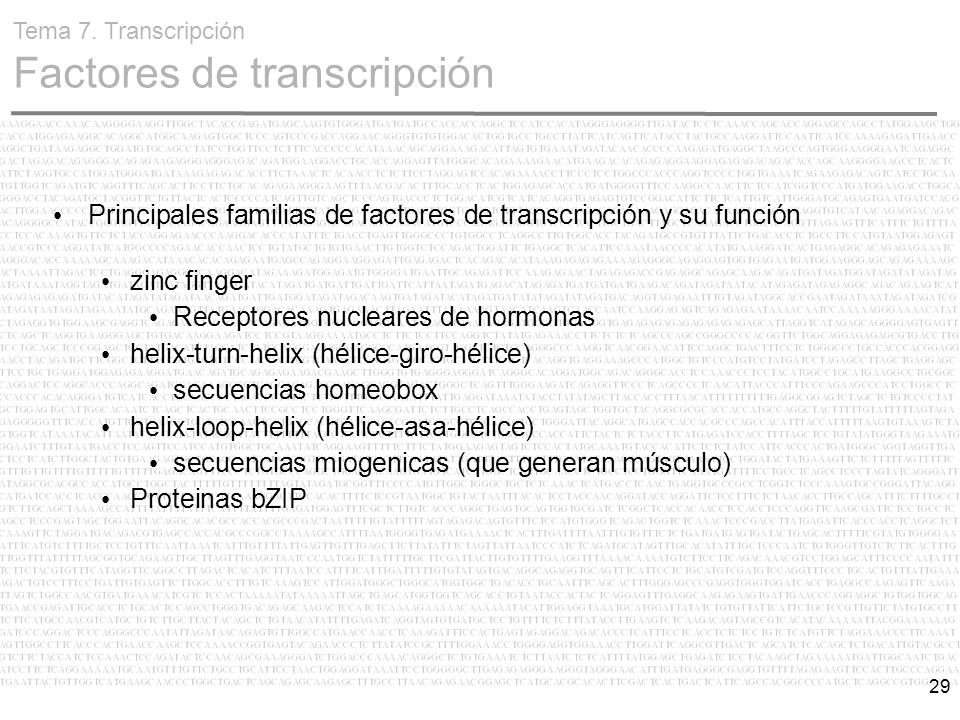 Principales familias de factores de transcripción y su función