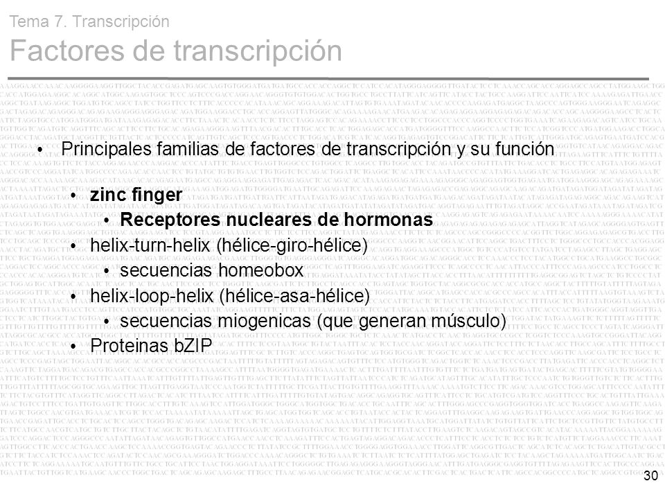 Principales familias de factores de transcripción y su función