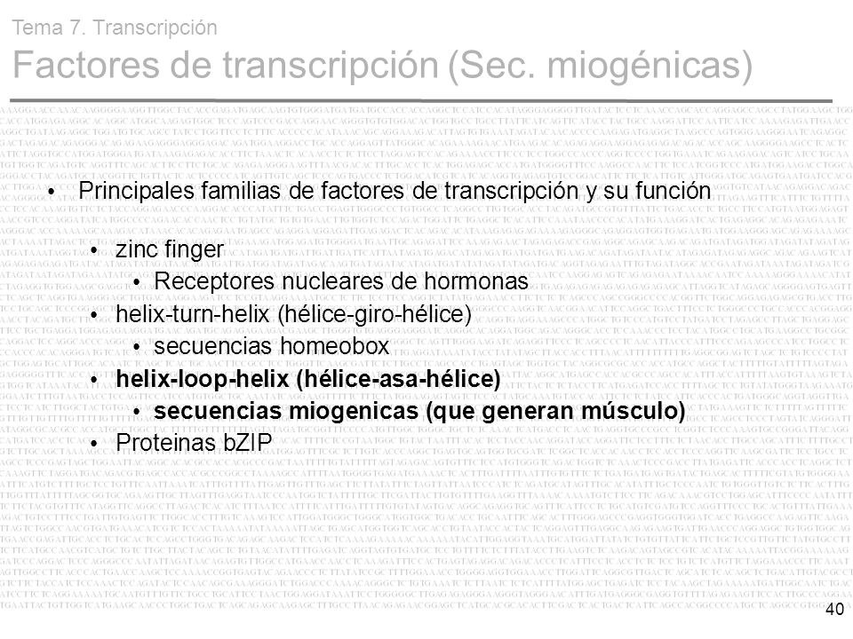 Principales familias de factores de transcripción y su función