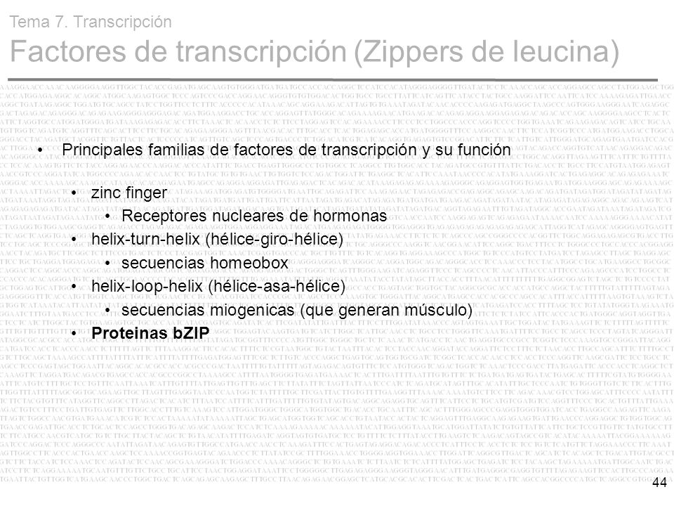 Tema 7. Transcripción Factores de transcripción (Zippers de leucina)