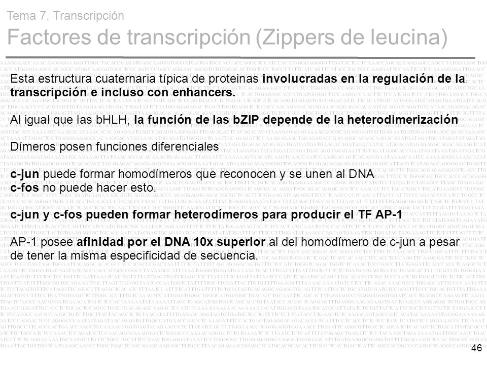 Tema 7. Transcripción Factores de transcripción (Zippers de leucina)