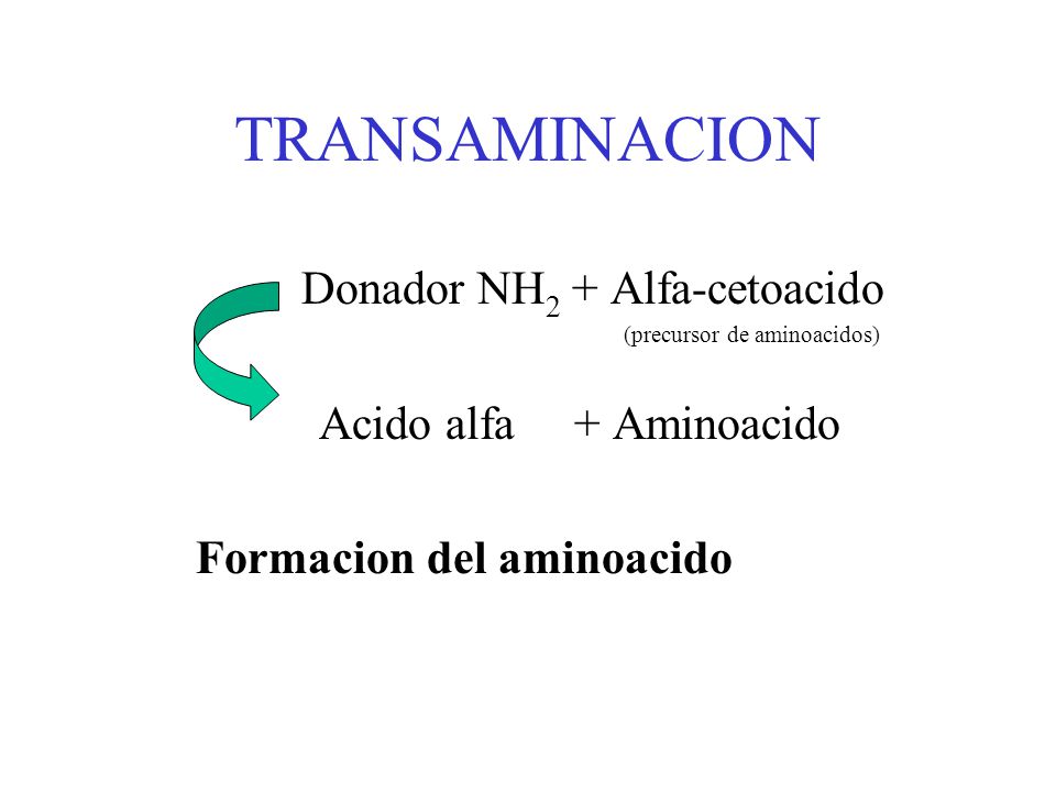 TRANSAMINACION Donador NH2 + Alfa-cetoacido Formacion del aminoacido