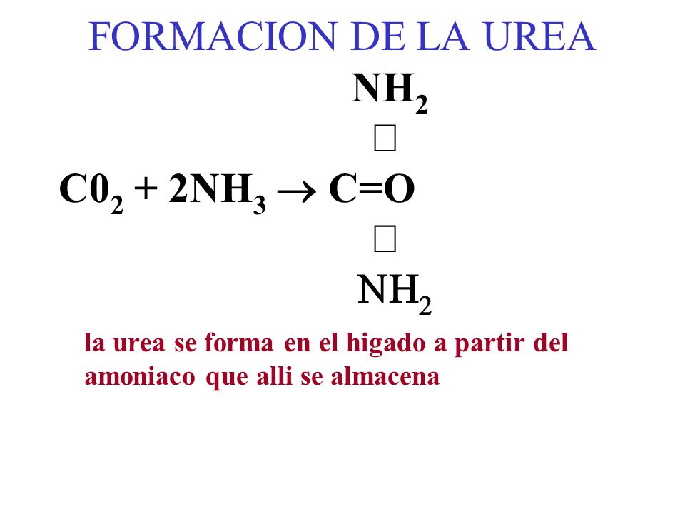 FORMACION DE LA UREA NH2. ½. C02 + 2NH3 ® C=O.