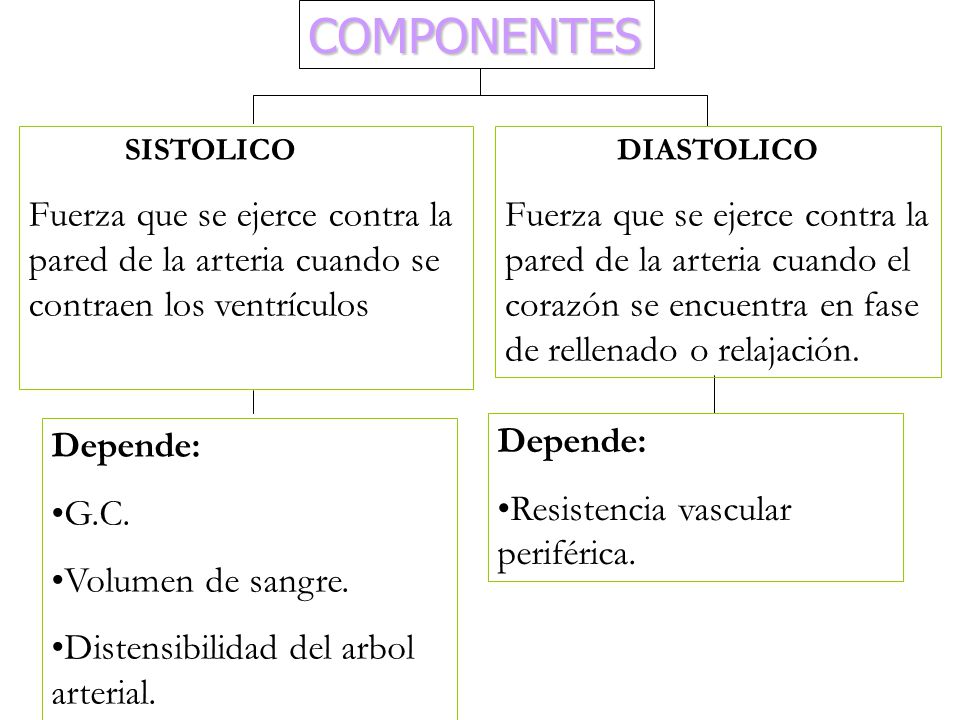 SISTOLICO Fuerza que se ejerce contra la pared de la arteria cuando se contraen los ventrículos. DIASTOLICO.