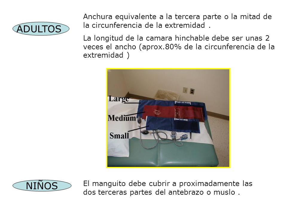 Anchura equivalente a la tercera parte o la mitad de la circunferencia de la extremidad .