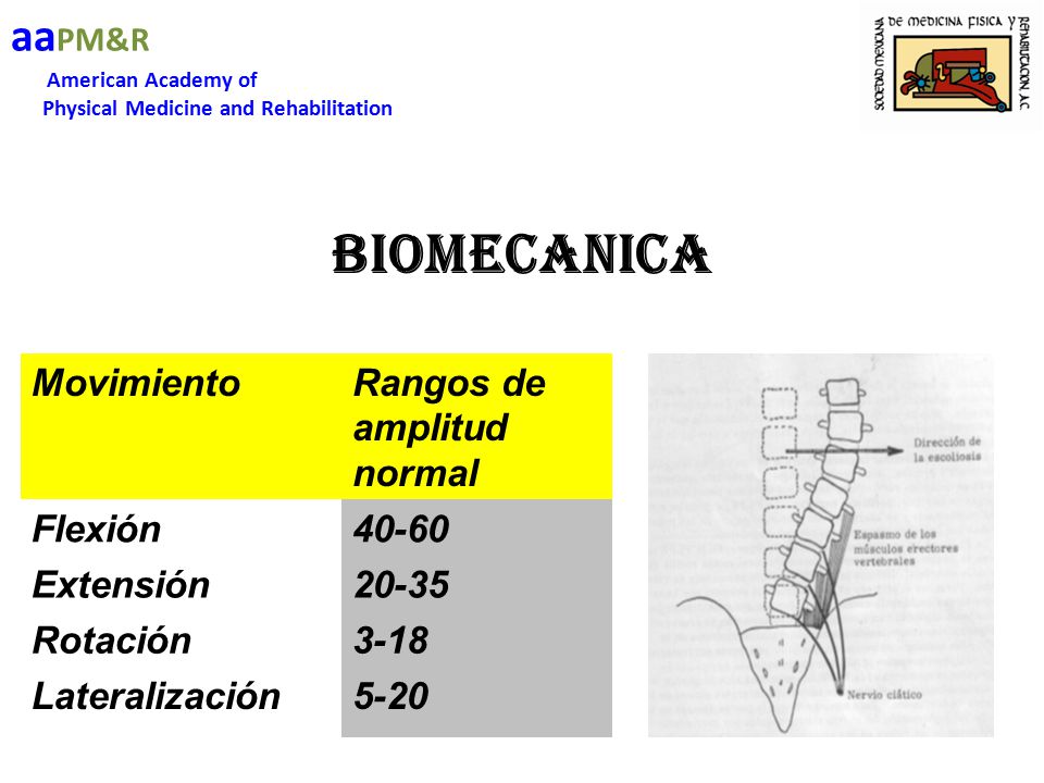 BIOMECANICA aaPM&R Movimiento Rangos de amplitud normal Flexión 40-60