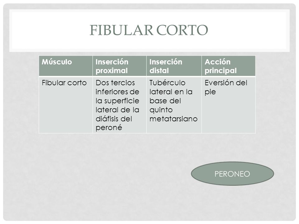 Fibular corto Músculo Inserción proximal Inserción distal