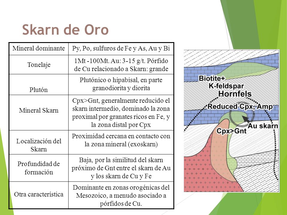 Skarn de Oro Mineral dominante Py, Po, sulfuros de Fe y As, Au y Bi