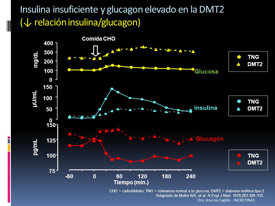 Insulina insuficiente y glucagon elevado en la DMT2 (↓ relación insulina/glucagon)
