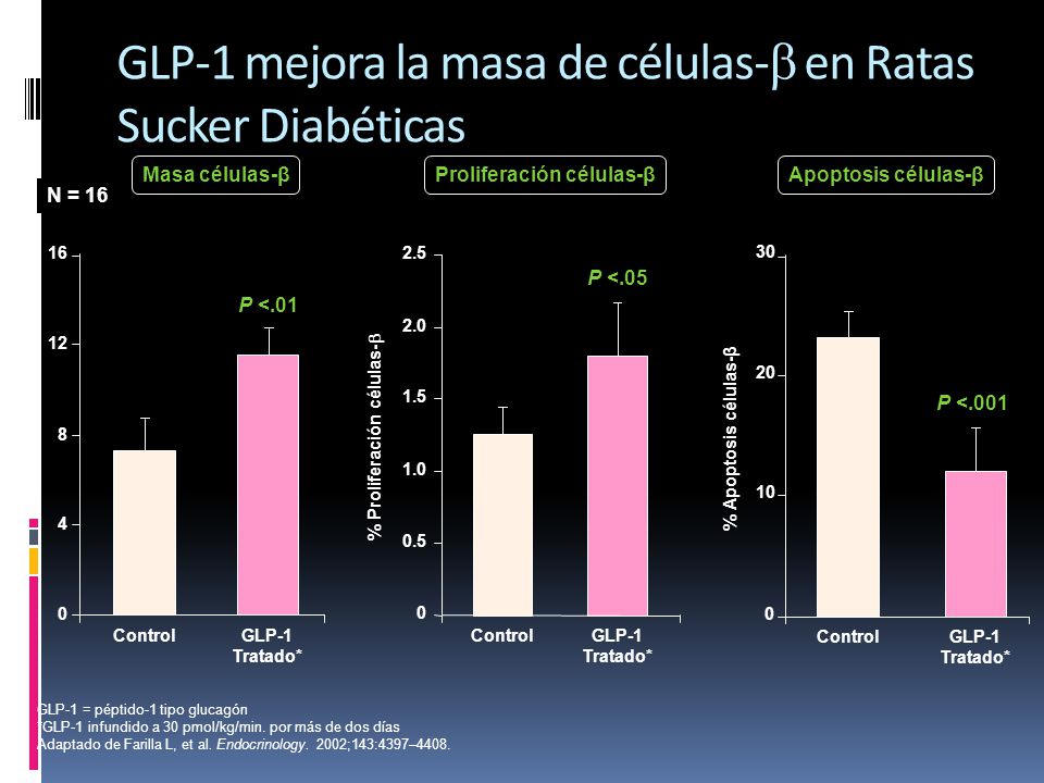 GLP-1 mejora la masa de células-b en Ratas Sucker Diabéticas