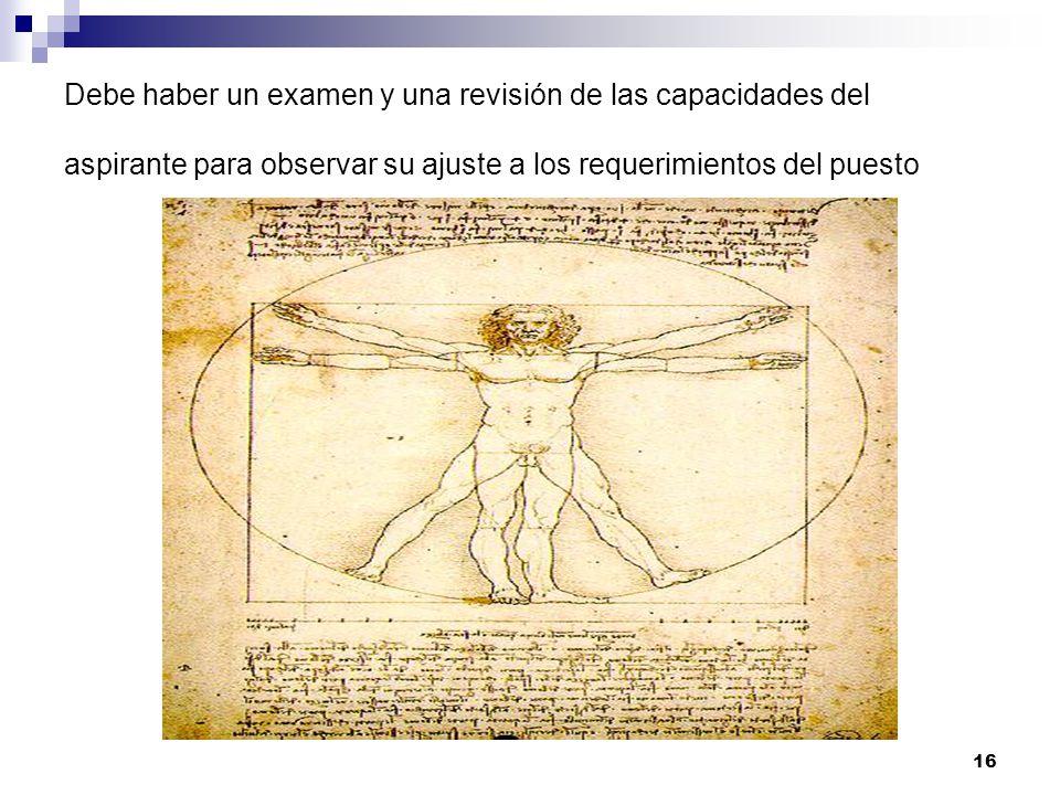 Debe haber un examen y una revisión de las capacidades del aspirante para observar su ajuste a los requerimientos del puesto