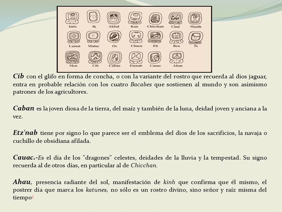 Cib con el glifo en forma de concha, o con la variante del rostro que recuerda al dios jaguar, entra en probable relación con los cuatro Bacabes que sostienen al mundo y son asimismo patrones de los agricultores.