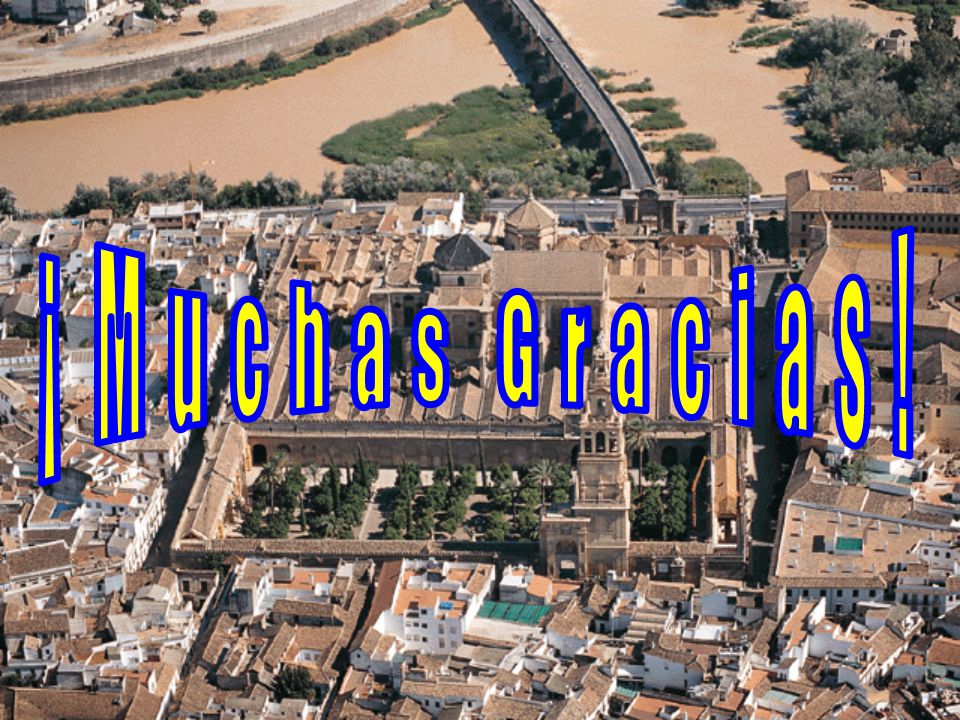 ¡ M u c h a s G r a c i a s !