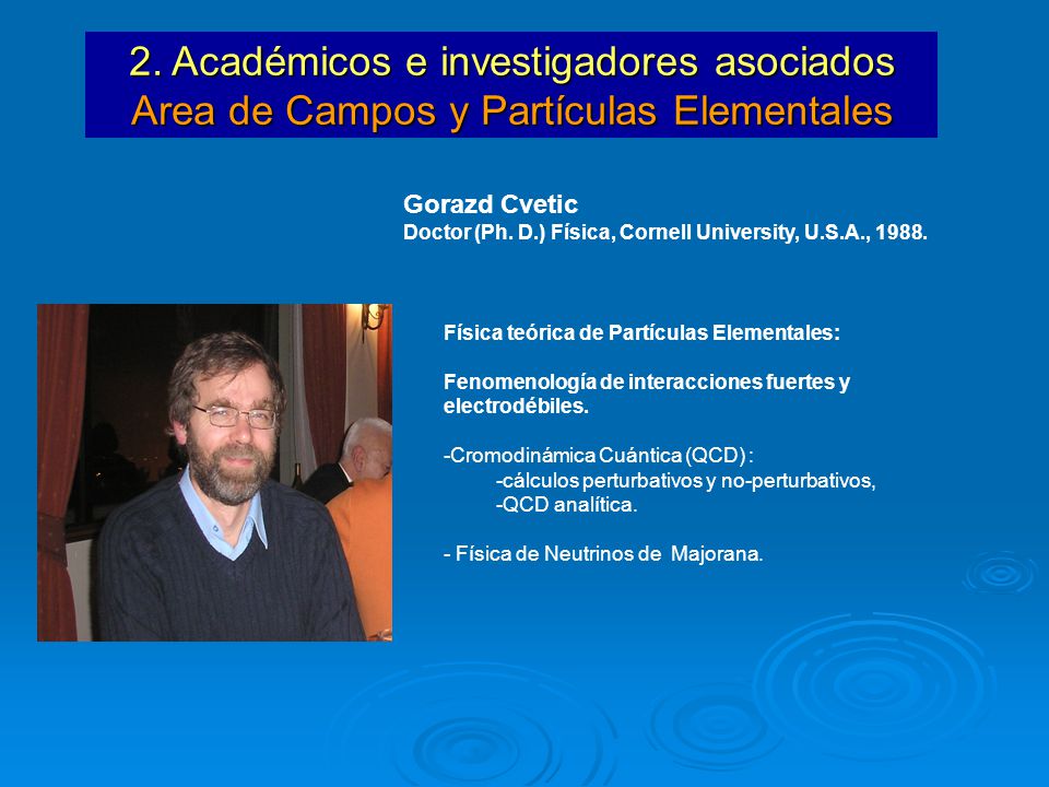 2. Académicos e investigadores asociados Area de Campos y Partículas Elementales