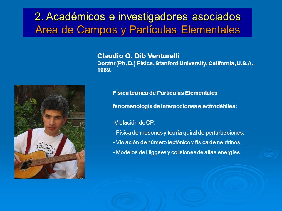 2. Académicos e investigadores asociados Area de Campos y Partículas Elementales