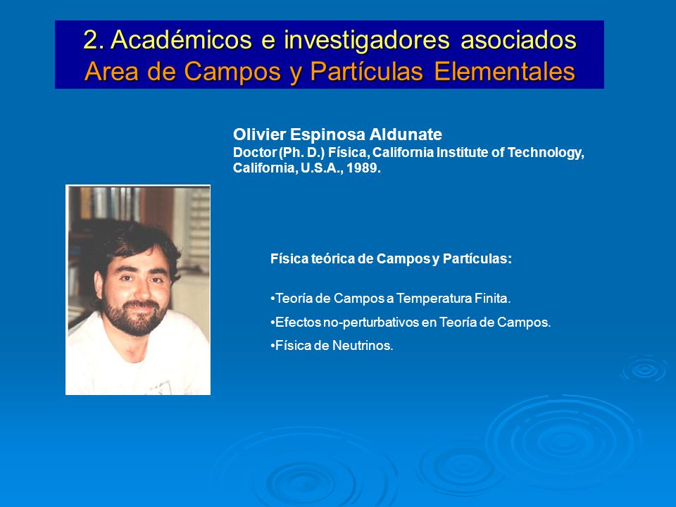 2. Académicos e investigadores asociados Area de Campos y Partículas Elementales