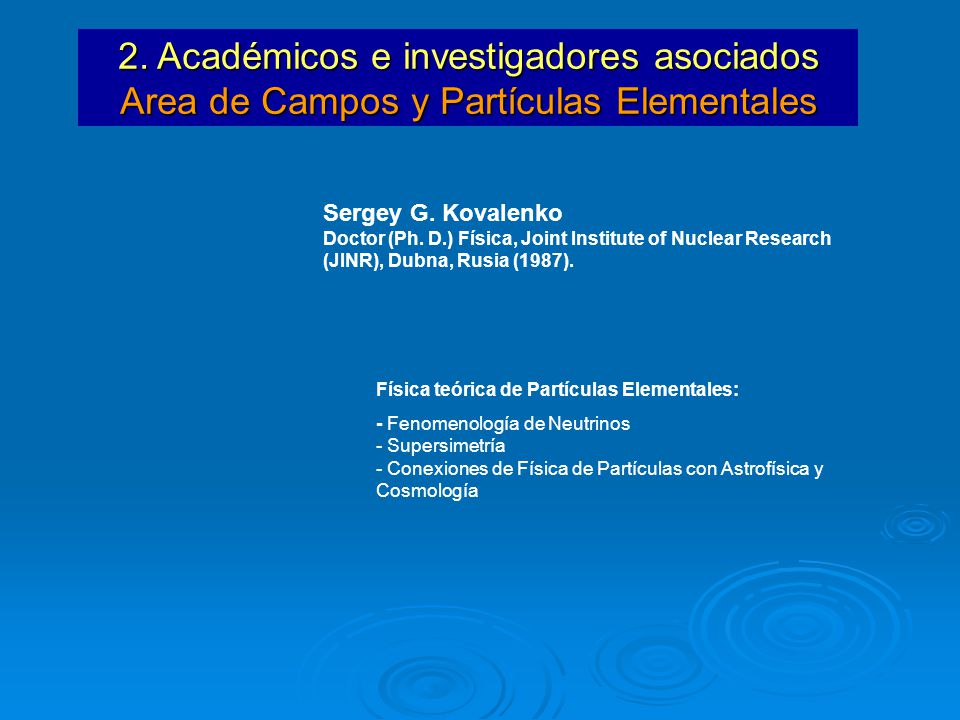 2. Académicos e investigadores asociados Area de Campos y Partículas Elementales