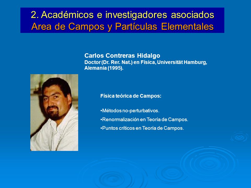 2. Académicos e investigadores asociados Area de Campos y Partículas Elementales