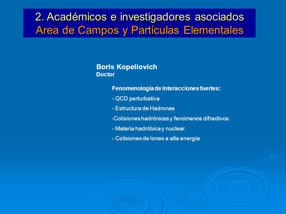 2. Académicos e investigadores asociados Area de Campos y Partículas Elementales