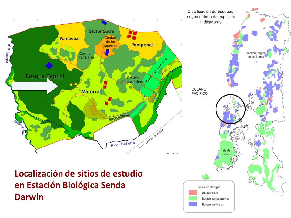 Localización de sitios de estudio en Estación Biológica Senda Darwin