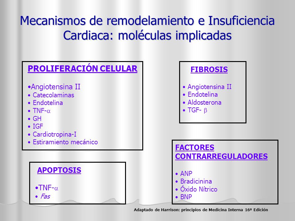 Adaptado de Harrison: principios de Medicina Interna 16ª Edición