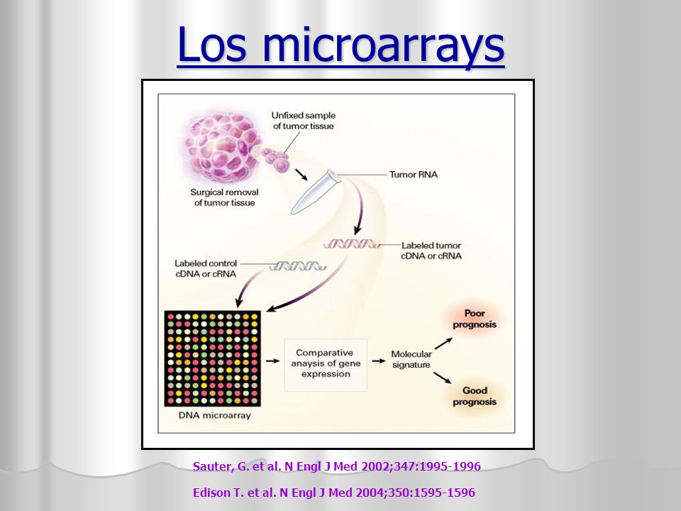 Los microarrays Sauter, G. et al. N Engl J Med 2002;347: