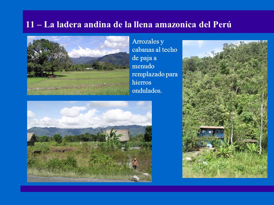 11 – La ladera andina de la llena amazonica del Perú