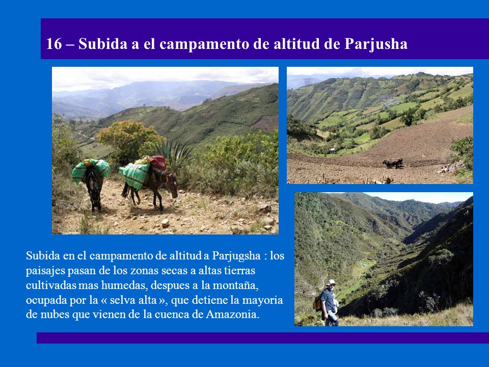 16 – Subida a el campamento de altitud de Parjusha