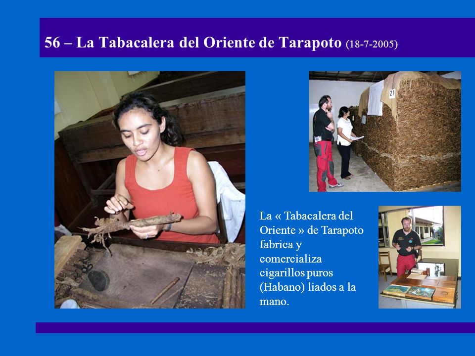 56 – La Tabacalera del Oriente de Tarapoto ( )