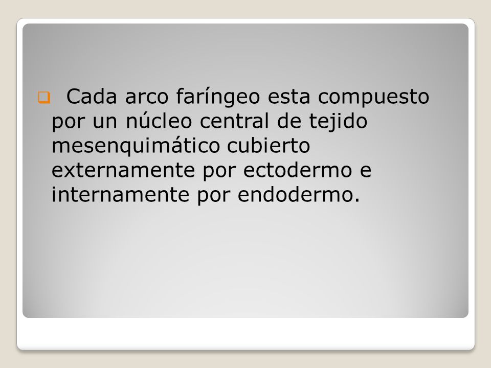 Cada arco faríngeo esta compuesto por un núcleo central de tejido mesenquimático cubierto externamente por ectodermo e internamente por endodermo.