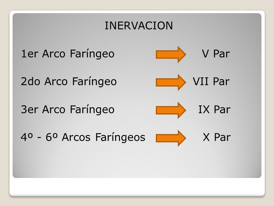INERVACION 1er Arco Faríngeo V Par 2do Arco Faríngeo VII Par 3er Arco Faríngeo IX Par 4º - 6º Arcos Faríngeos X Par