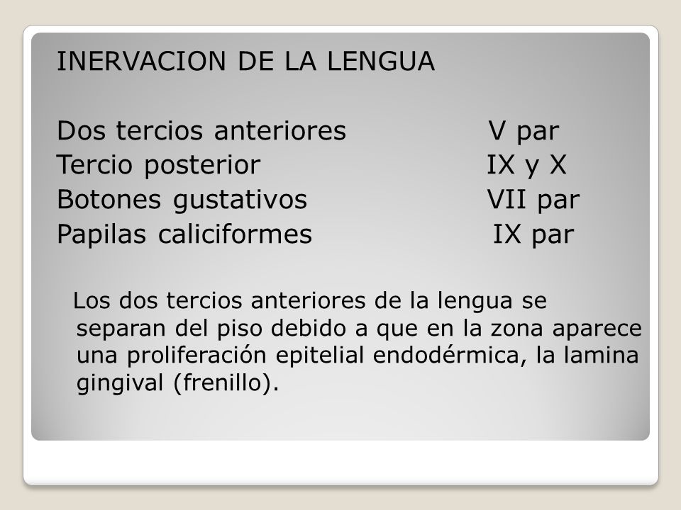 INERVACION DE LA LENGUA Dos tercios anteriores V par