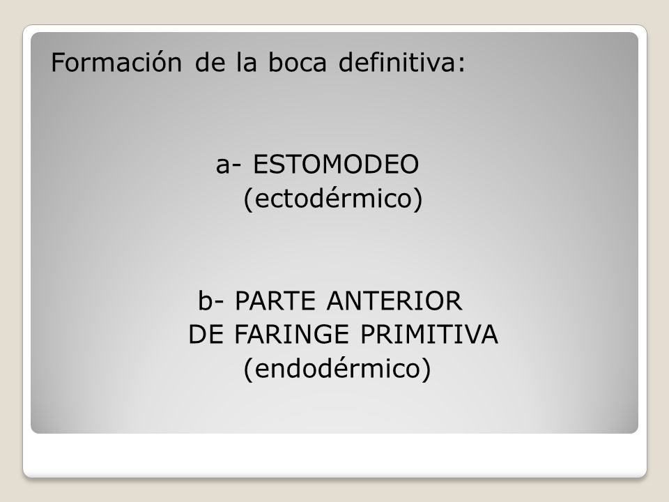 Formación de la boca definitiva: a- ESTOMODEO (ectodérmico) b- PARTE ANTERIOR DE FARINGE PRIMITIVA (endodérmico)