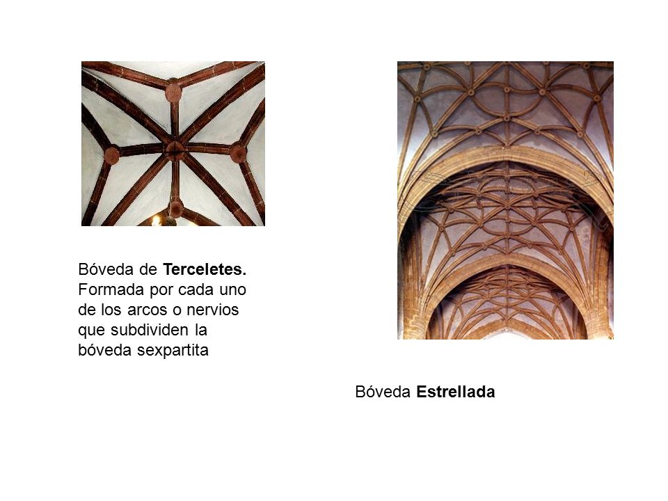 Bóveda de Terceletes. Formada por cada uno de los arcos o nervios que subdividen la bóveda sexpartita