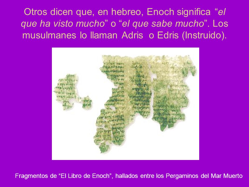 Otros dicen que, en hebreo, Enoch significa el que ha visto mucho o el que sabe mucho . Los musulmanes lo llaman Adris o Edris (Instruido).